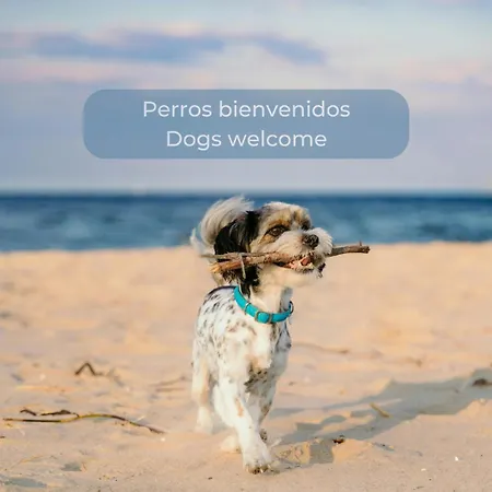 Maracuyá By Lovely Corralejo