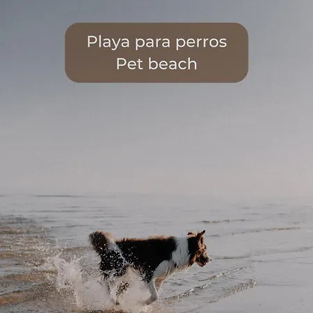 Maracuya Con Piscina, Terraza, Smart Tv, Cocina Completa Y Wifi Corralejo
